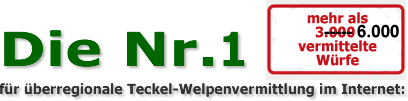 http://www.teckelsuche.de/ http://www.teckelsuche.de/